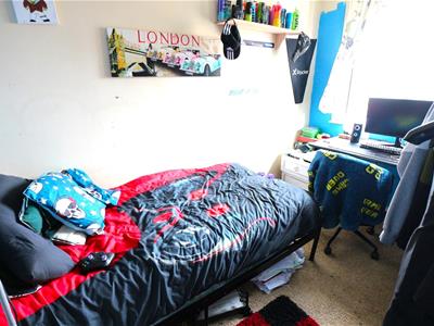 Picture 7